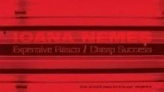 Expensive Fiasco/Cheap Success, Ioana Nemes