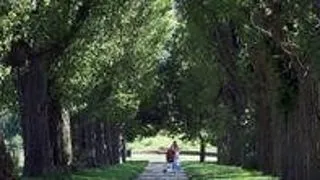 Food Security Center fellowships, Univ. Hohenheim, Germany