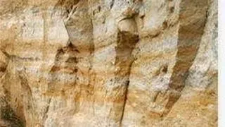 Conferinta anuala a Societatii Geologice a Romaniei