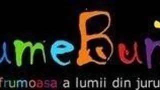 Stagii de voluntariat in cadrul organizatiei "Lume Buna"