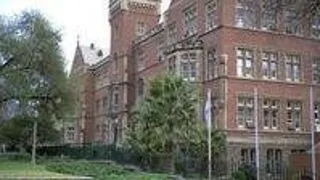 PhD Scholarship in Computational-Theoretical Neuroscience