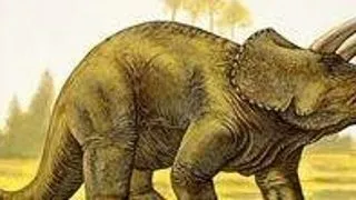 Top 5 dinozauri cu coarne