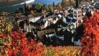Postdoctoral Position in Neurophysics 2010, Germany