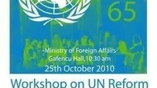 Workshop cu tema "Reforma ONU"