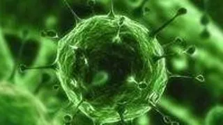 A fost descoperit cel mai mare virus din lumea oceanica
