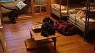 Top 10 motive sa stai intr-un hostel cand studiezi in strainatate
