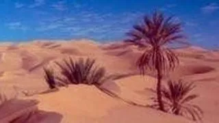 Cele mai bune universitati din Libia