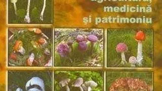 Lucrarea "Fungi cu importanta in agricultura, medicina si patrimoniu", premiata