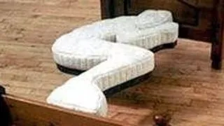 Top 10 paturi creative