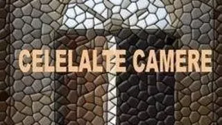 Masteranzii la limba araba publica prima lor traducere colectiva