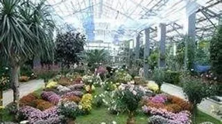 Expozitie de plante exotice