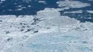 Gheata din zona arctica a atins un record negativ in luna ianuarie 2011