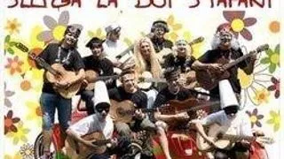 Sluga la doi stapani