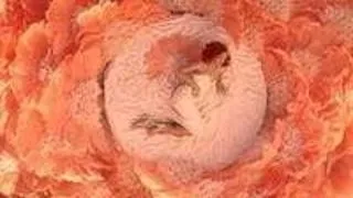 Must see: Rihanna, fata buna/rea in reclama Reb'l Fleur (video)