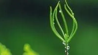 5 efecte interesante ale oxitocinei