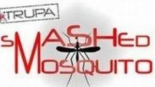 Petrece Dragobetele alaturi de Smashed Mosquito in Club Mojo  Bucuresti