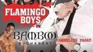 Flamingo Boys in Bamboo Bucuresti!