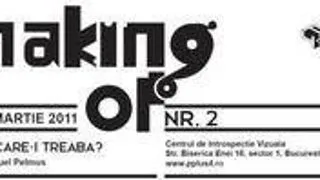 Centru de Introspectie Vizuala - "Care-i treaba?" / Making of