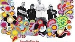 S-au pus in vanzare biletele la The Animals & Friends