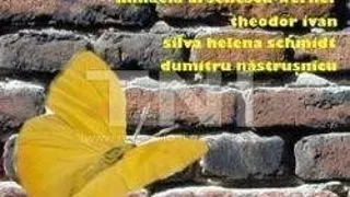 Fluturii sunt liberi