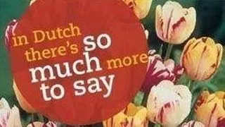 Dutch Language Level 6