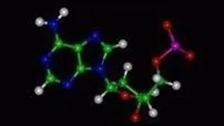 Introductory Biology 1