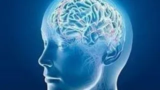 Introductory Biology 2