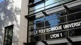 IPL International Summer School in Science and Engineering in Lyon