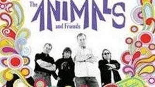 The Animals & Friends in Jukebox Club