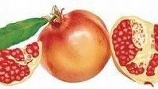 7 motive pentru a manca rodii