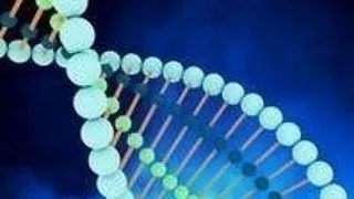 Nanoscience: International Summer Research Program (NIM)