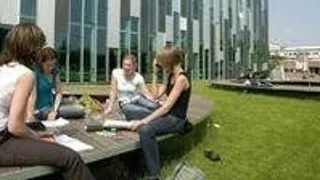 Neuroscience of Communicative Meaning