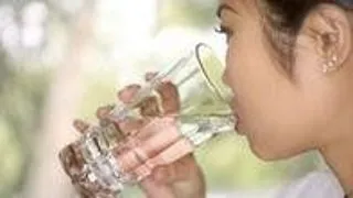 Nutrient Absorption and Metabolism