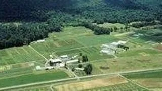 The Organic City: method or metaphor?