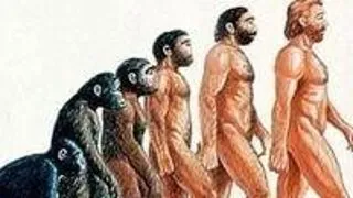 Writing Anthropology