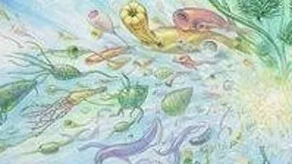 Organismele complexe au parasit oceanele mai devreme decat se credea