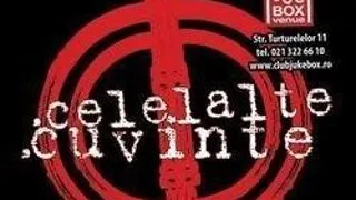 Celelalte Cuvinte, primul concert din 2011 la Bucuresti