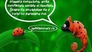 Self Discovery Camp-Limbajul relatiilor de succes! Fii un cameleon al cuvintelor!
