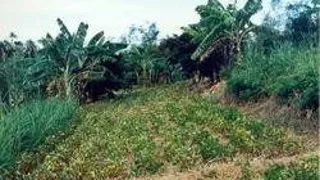 Postdoc Position: Modeling agro-ecosystems for climate impact research