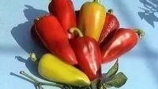 ARDEI UMPLUTI CU VARZA (ALBA SAU ROSIE)