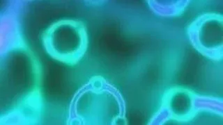 PhD Research Fellow at Department of Immunology and Transfusion Medicine