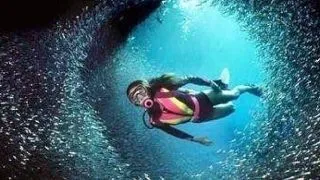 Unde poti face scuba diving