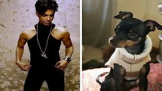 10 celebritati care se aseamana cu animale