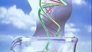 PhD Position in Molecular Biosciences