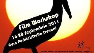 Film Workshop by Spune pe Scurt
