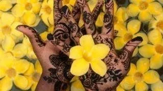 Viziteaza India la Muzeul Satului