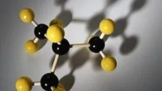 3 PhD Students in Molecular Science