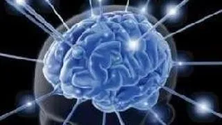 Cross-cultural Studies in Memory and Autobiographical Memory