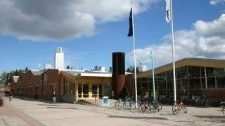 PhD position in Wood and Bionanocomposites