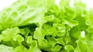 De ce sa consumi salata verde